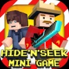 Hide N Seek : Mini Game